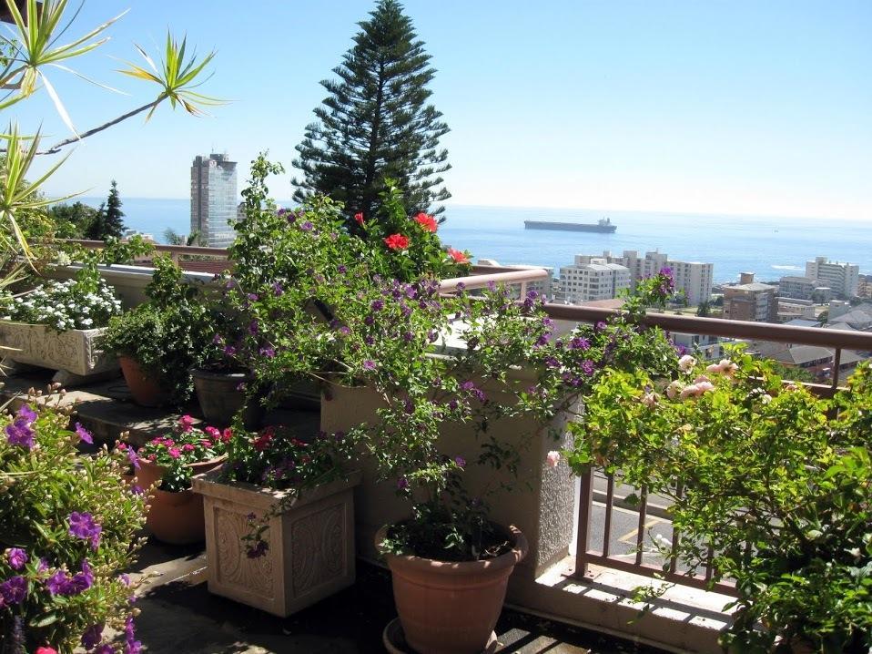 123 Ocean View Drive Apartment Cape Town Exterior foto