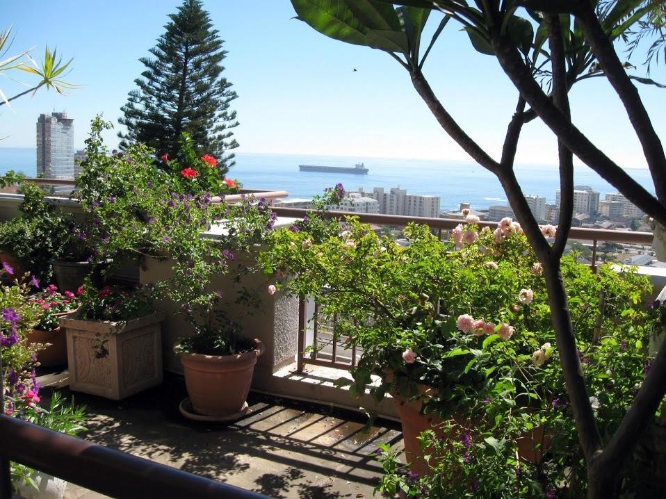 123 Ocean View Drive Apartment Cape Town Exterior foto